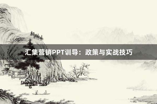 汇集营销PPT训导：政策与实战技巧