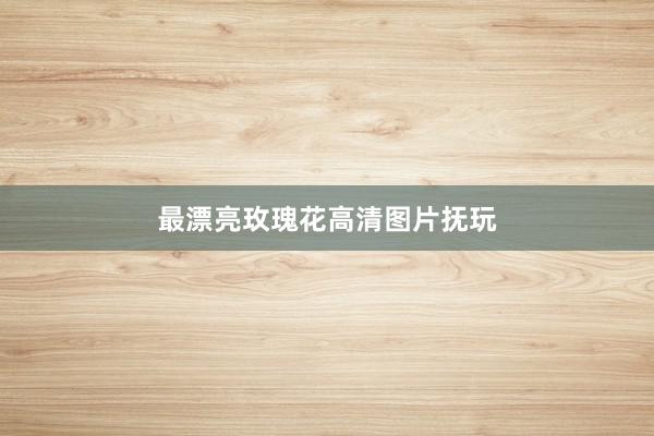 最漂亮玫瑰花高清图片抚玩