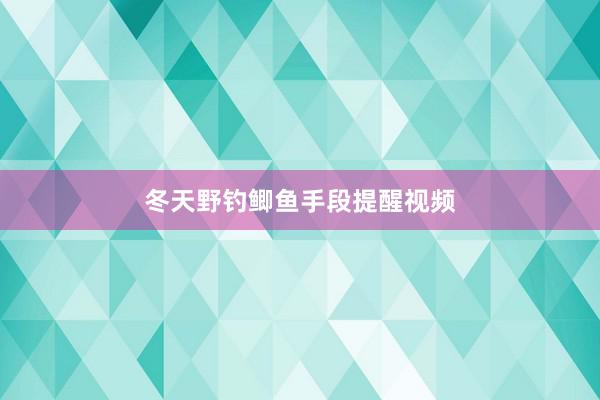 冬天野钓鲫鱼手段提醒视频