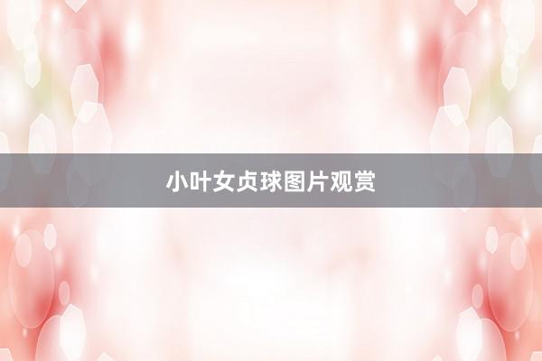小叶女贞球图片观赏